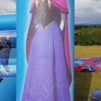 12ft X 12ft Frozen Bouncy Castle