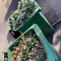 Garden Bin Collection