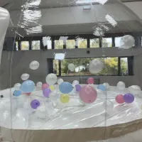 Bubble Balloon Dome