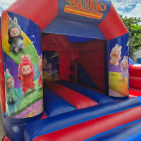 15ft X 15ft Labubu Themed Bouncy Castle