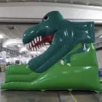 3d Dinosaur Mega Slide 10ft Platform