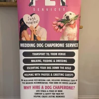 Pop Up Banner