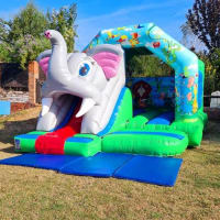 Jungle Castle And Slide Combination