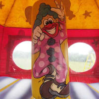 10ft X 10ft Circus Dome