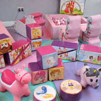Princess Soft Play