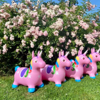 Unicorn Hoppers