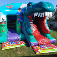 3d Dinosaur Slide