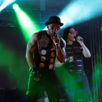 The Black Eyed Peaz Tribute