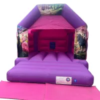Pink And Purple Bouncy Castle 11ft X 15ft