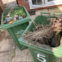 Garden Bin Collection