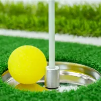 9 Hole Crazy Golf