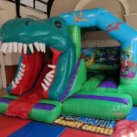 3d Dino Slide Castle