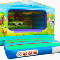 11ft X 14ft Farm Yard Bouncy Castle