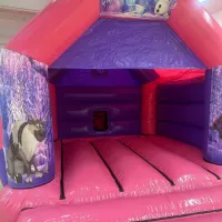 Pink Frozen Bouncy Castle