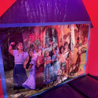 Pink And Purple Combo Castle - Encanto Theme