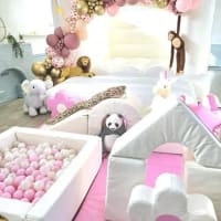 Luxurious Bouncy Castle And Soft Play Party Package