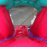 3d Dinosaur Front Slide Combi