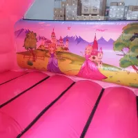 Princess Bouncy Castle With Slide