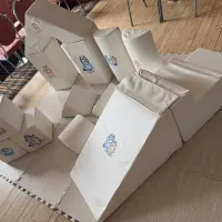 Blue Dog White Soft Play