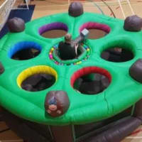 Whac-a-mole And Childrens Bouncy Castle