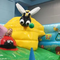 The Big Bouncy Bug Bed