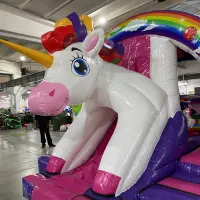 3d Unicorn Combi Bouncy Castle