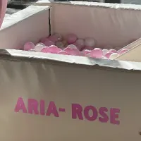 Princess Themed Pink And White Soft Play
