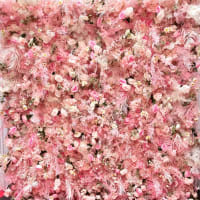 Luxury Pastel Pink Flower Wall