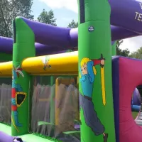 Fantasia Obstacle Course 44ft X 12ft