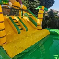 19ft X 15ft Water Slide