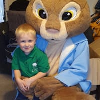 Peter Rabbit Mascot Hire