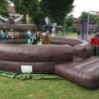 Rodeo Bull Hire 2 Hours