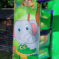 Jungle Bouncy Castle