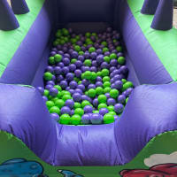 Dino Ball Pit