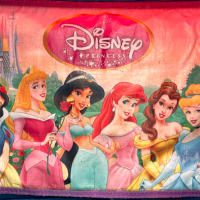 12ft X 12ft Pink And Purple - Disney Princess Theme