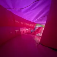 3d Unicorn Kingdom Bouncy Castle With Slide