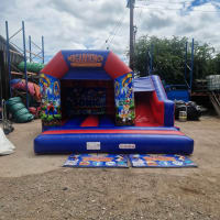 15ft X 15ft Sonic Themed Bouncy Castle
