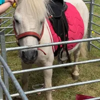 Pony Party