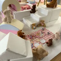 Themed Soft Play - Teddy Bears Picnic