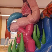 Mermaid 3d Bouncy Castle With Slide