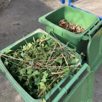 Garden Bin Collection