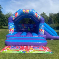 Purple And Blue Side Slide