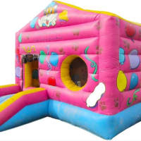 14ft X 16ft Double Bouncer Bouncy Castle