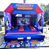 12ft X 12ft Frozen Themed Bouncy Castle