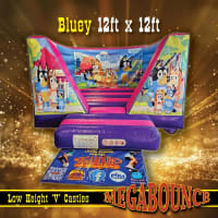 Bluey Theme Package