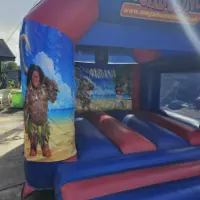 10ft X 12ft Moana Interchangeable Bouncy Castle