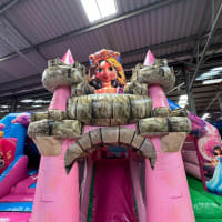 Princess Bouncy Castle With Rapunzel Tower Slide