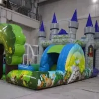 Enchanted Play Zone