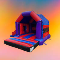 Party Theme Side Slide Bouncy Castle