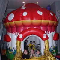 The Mushroom House